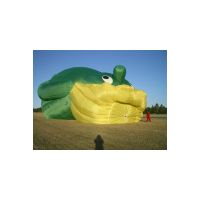 116BallonLuftbefuellung.jpg
