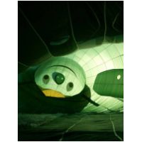 121BallonLuftbefuellung.jpg