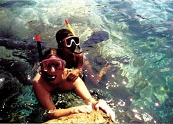 Schnorcheln auf Elba