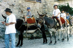 Eselreiten auf Korsika