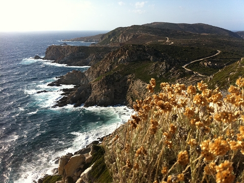 Felsenküste von Revelata bei Calvi