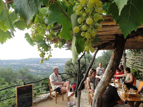 ... dort Tapas Essen, unter Weinreben mit Blick auf Algajola und aufs Meer