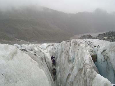 Fox Glacier